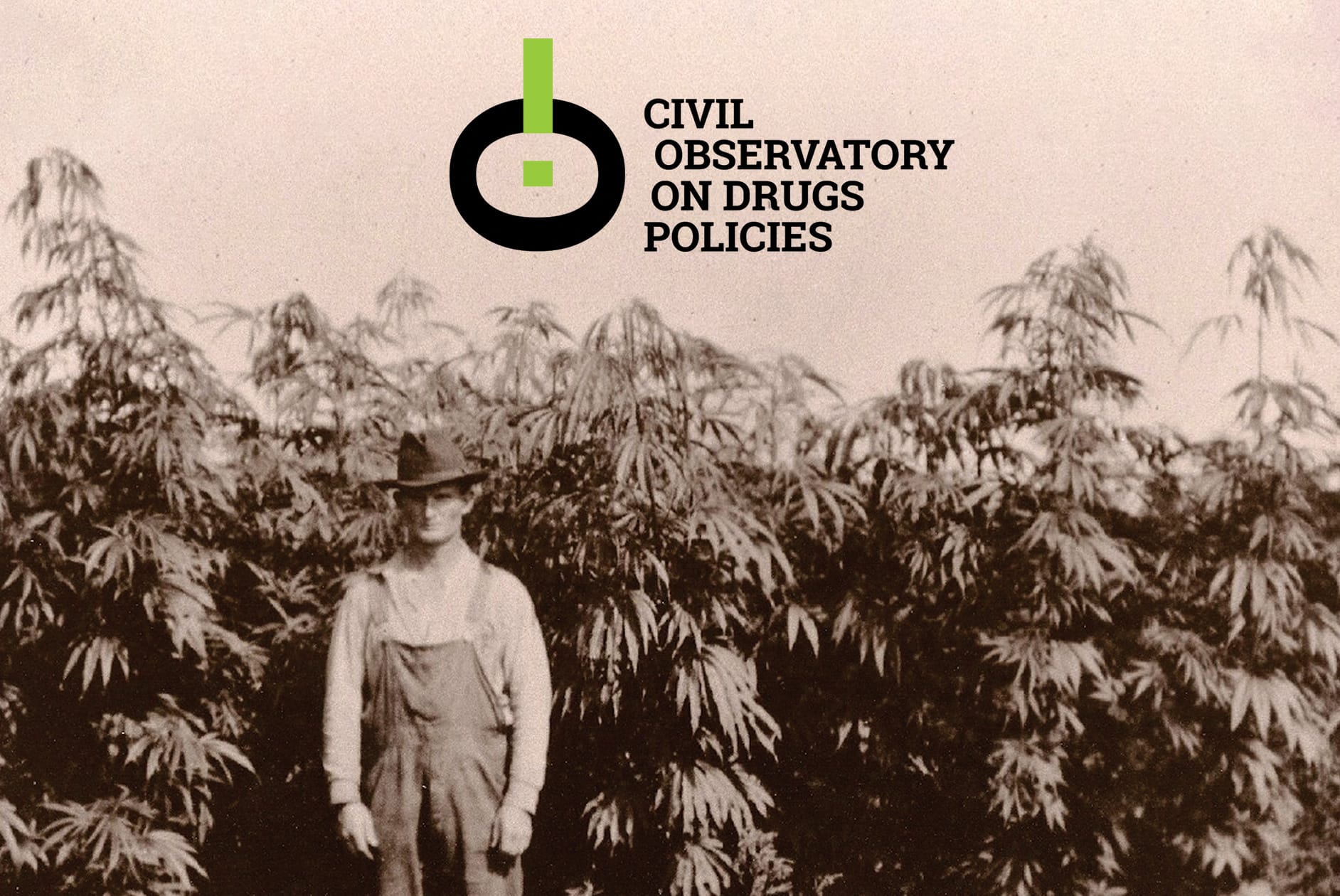 The legal landsccape for cannabis social clubs CIVIL OBSERVATORY ON DRUGS POLICIES